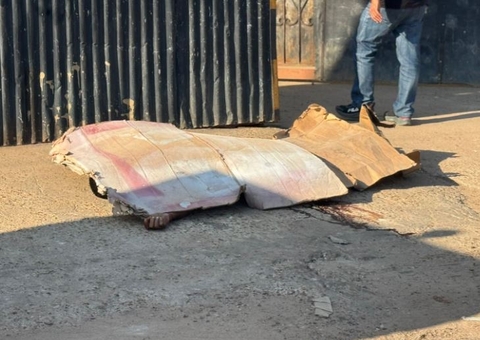 Homem é perseguido pelas ruas de bairro e morto a tiros em Manaus