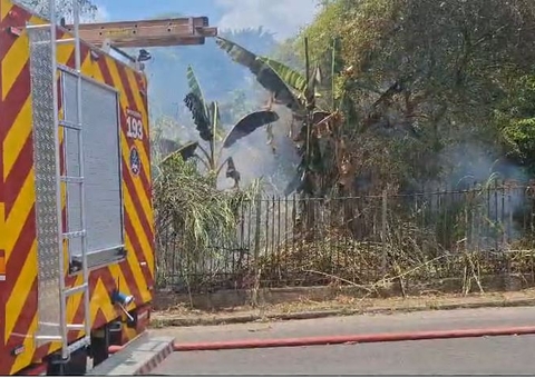 Vídeo: Sob sol castigante, incêndio se alastra por área de mata no Alvorada