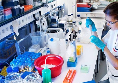 Produtos laboratoriais gastam mais de R$ 1 milhão em Novo Airão