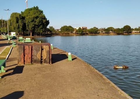 Bebê atacado por jacaré teve antebraço amputado