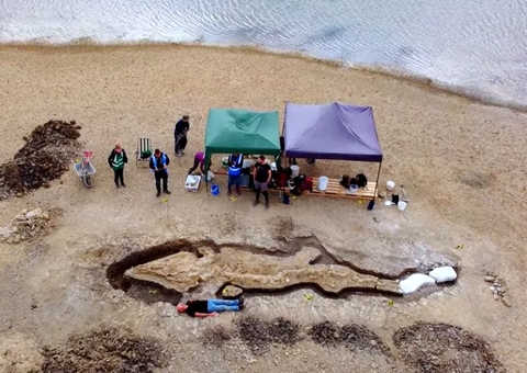 Fóssil de ‘dragão do mar’ de 180 milhões de anos é encontrado na Inglaterra