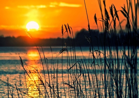 Calor exige cuidados redobrados para hipertensos e diabéticos