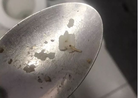 Larvas são servidas com arroz e feijão para estudantes de escola municipal