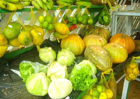 Fortalecer agricultura leva mais de R$ 1 milhão em Boa Vista do Ramos