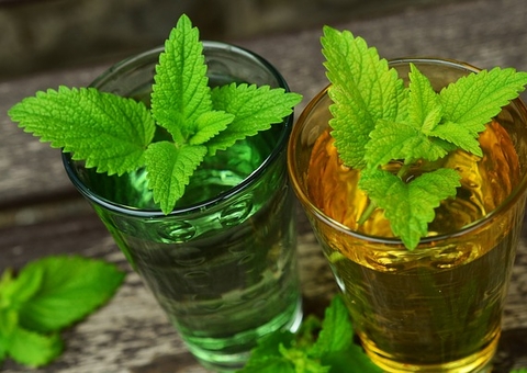 Chá de cidreira combate dores de cabeça e melhora sono; veja benefícios