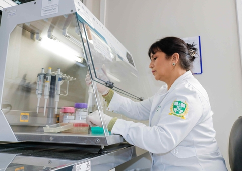 Hemoam e UEA abrem inscrições para mestrado com 32 vagas em Manaus