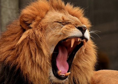 Cerca de 9 milhões de pessoas ainda não declararam Imposto de Renda