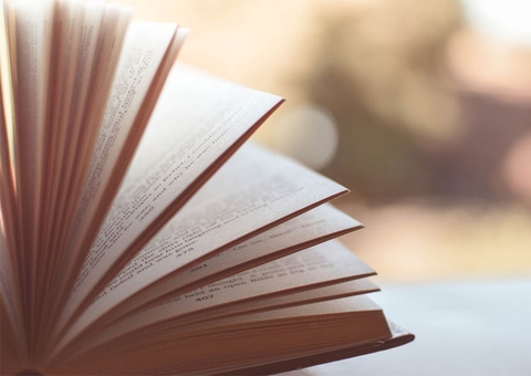 Livro Puraquequara em Mosaico será lançado nesta sexta-feira