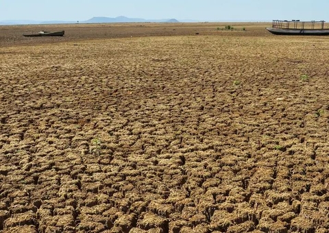 ONU alerta sobre a destruição acelerada do solo
