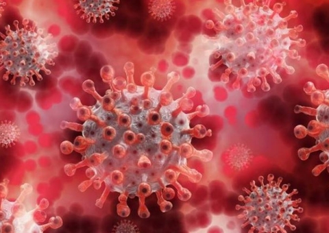 Variante Lota descoberta nos EUA é mais letal e transmissível que vírus de Wuhan