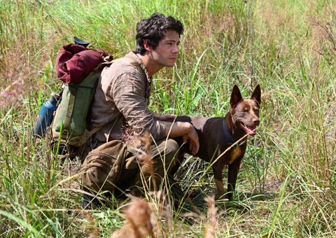 Indicado ao Oscar, Amor e Monstros ganha data de estreia na Netflix