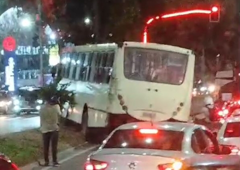 Ônibus especial invade canteiro e colide com árvore na Av. Torquato Tapajós