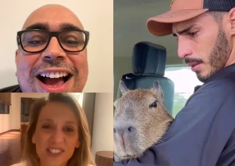 Ativista diz que Justiça irá mandar Ibama devolver capivara Filó para Agenor após animal ficar em cativeiro