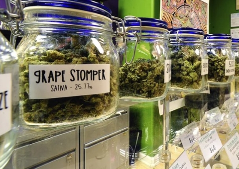Primeira loja oficial de maconha em Nova York abre com filas e plano de venda online