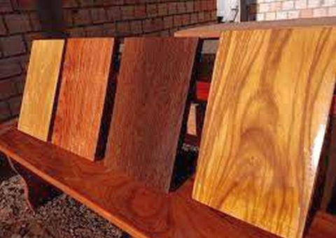 Madeira de lei vai custar mais de R$ 4,6 milhões a Itacoatiara