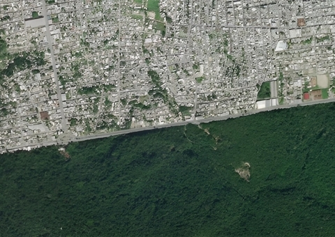 Manaus tem somente 3% de área verde urbana em sua extensão territorial 