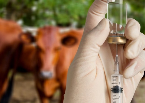 Amazonas Energia vai pagar indenização após queda de luz estragar vacinas no Amazonas