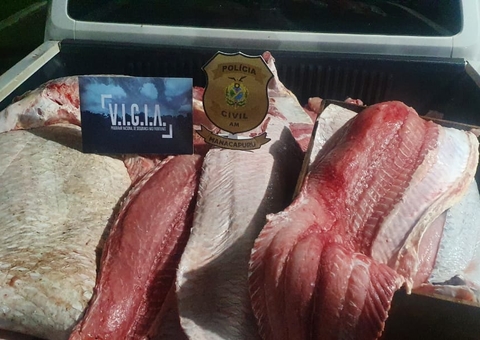 Homem é preso com 818 quilos de pescado ilegal no Amazonas