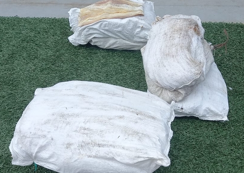 Mais de 200 kg de pescado ilegal são apreendidos em barco no Amazonas