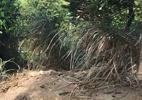 Criança é atirada na parede e jogada em buraco por mãe e madrasta, diz avó