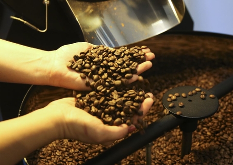 China libera 183 empresas do Brasil para exportar café após tarifaço dos EUA