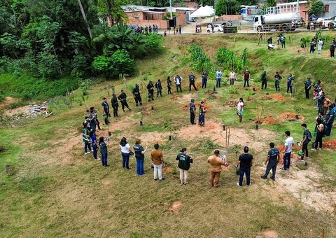 Manaus conquista segundo lugar em ranking mundial de cidades com ar menos poluído