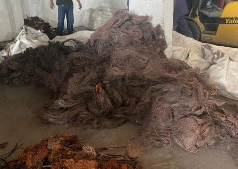 Funcionários são presos suspeitos de roubar 10 toneladas de metal em Manaus