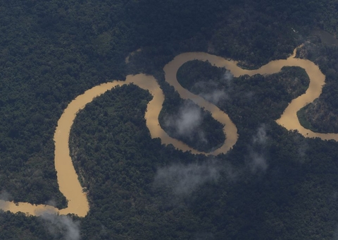 Indígenas denunciam assassinato de três yanomamis em Roraima