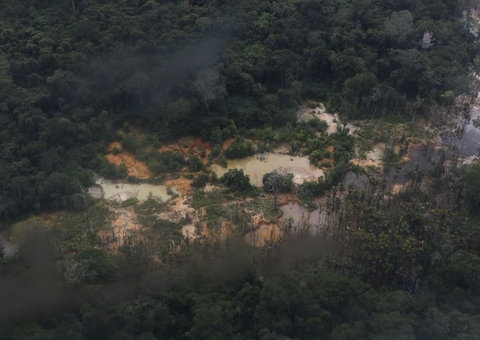 Cresce número de denúncias por crimes ligados ao garimpo na Terra Yanomami