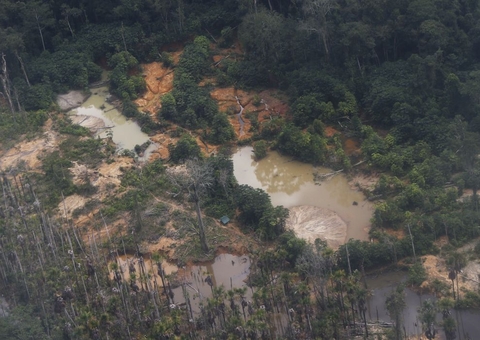 Yanomamis pedem água potável e dizem que garimpo ilegal contamina rios