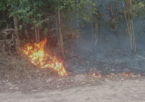 Dupla é presa ao ser flagrada incendiando mata no Amazonas 