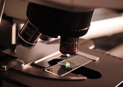 Projetos de pesquisas do Amazonas e Rondônia são contemplados pela Fiocruz