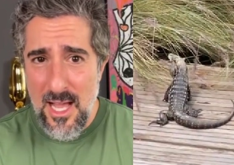Marcos Mion se assusta com lagarto gigante no quintal da sua mansão