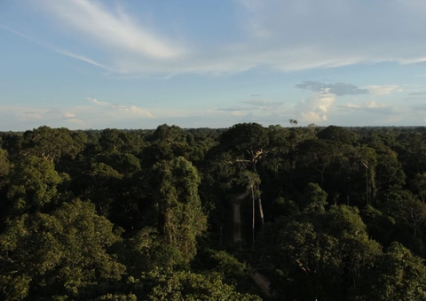 PF deflagra operação contra crimes ambientais no Acre e Amazonas