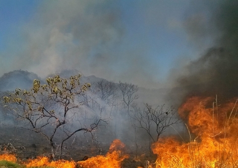 Ano de 2024 deve superar recorde de alta de temperatura de 2023 no Planeta