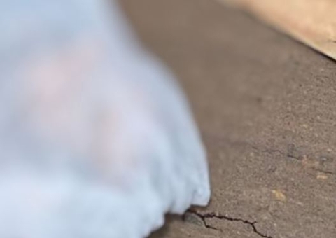 Motorista foge após matar homem atropelado em estrada do Amazonas