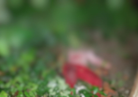 Mulher é morta a tiros e marido baleado no Ramal do Brasileirinho 