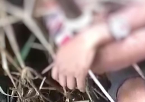 Cabeça encontrada em Iranduba é de jovem que foi filmado sendo degolado