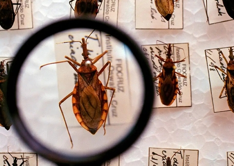 Morte de jovem leva à interdição de pontos de venda de açaí no Pará 