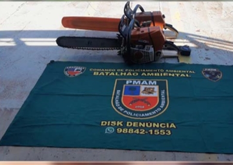 Armados com motoserras, grupo é preso por desmatamento ilegal em Manaus