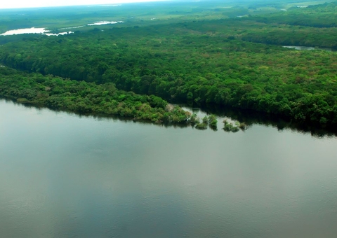 Mourão apresenta plano substituto à operação militar na Amazônia