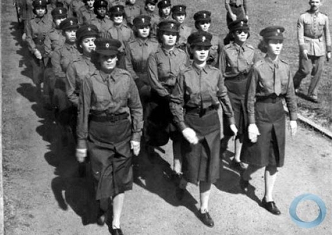 Mesmo sem muito reconhecimento, mulheres participaram da Segunda Guerra
