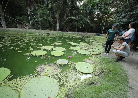 Museu da Amazônia oferece exposição gratuita em Manaus