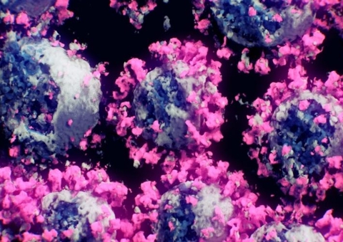 Rede investigará mutações do novo coronavírus em circulação no país