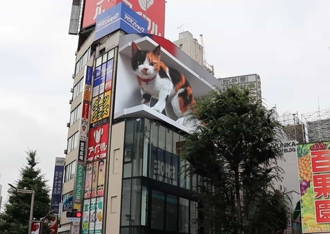 Vídeo mostra gato gigante "invadindo" painel de publicidade no Japão