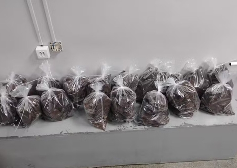 Indetectável e 10 vezes mais cara, cocaína negra invade mercado em Manaus