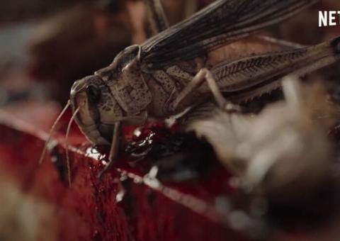 The Swarm: Gafanhotos assassinos atacam no trailer do terror da Netflix
