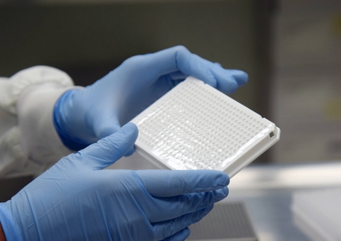 Brasil tem mais de 100 linhagens do novo coronavírus em circulação