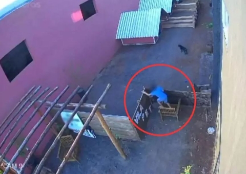 Criança de 9 anos invade hospital veterinário e mata 23 animais