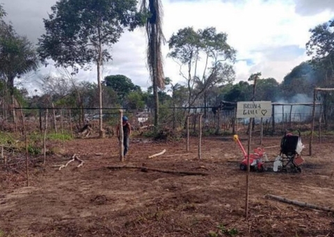 Justiça realiza audiência sobre danos ambientais nas áreas de Shangai e Areal em Parintins